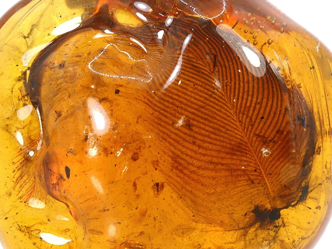 Stone Age Paperweights for Sale at Auction