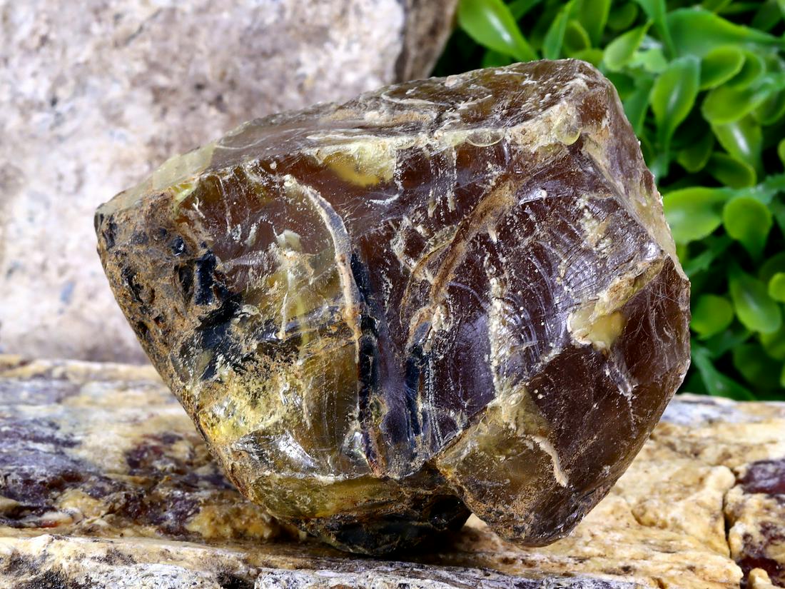 457Ct Collection Of Amber Fossil Rough Specimen (1 of 3)