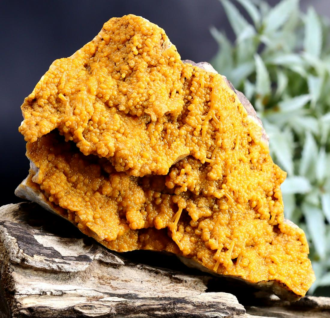 620Gram Natural Fire Agate Rough Specimen (1 of 3)