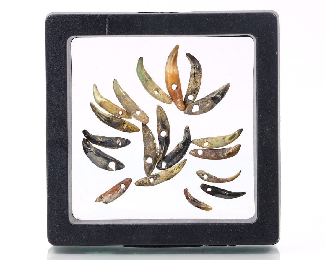 Collection Frame of Ancient Asian Dvaravati Period Curve Shaped Beads Asian Antique (1 of 3)