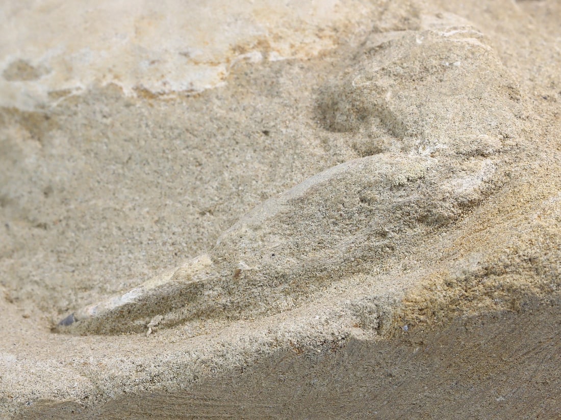 Rare Crab Fossil On Matrix Discover In Southeast Asian: 8x9.5cm Weight: 143 grams (Before Packing) Thousand Planet Auction House Season 4: Ten2Go August Collection Auction. A bargain hunter's, fixer-upper's, and pack-rat's dream come true! Our Ten2Go "ware