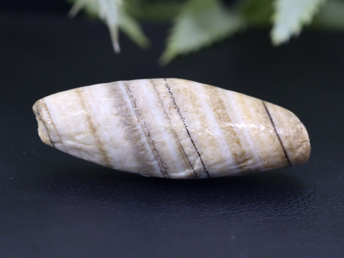 Antique Vintage Old Tibetan Pyu Striped Agate Bead: 26.3x9.7mm Weight: 13.5 carat (Before Packing) Thousand Planet Auction House Season 5: Ten2Go Antique Beads Collection Auction. A bargain hunter's, fixer-upper's, and pack-rat's dream come true! Our T