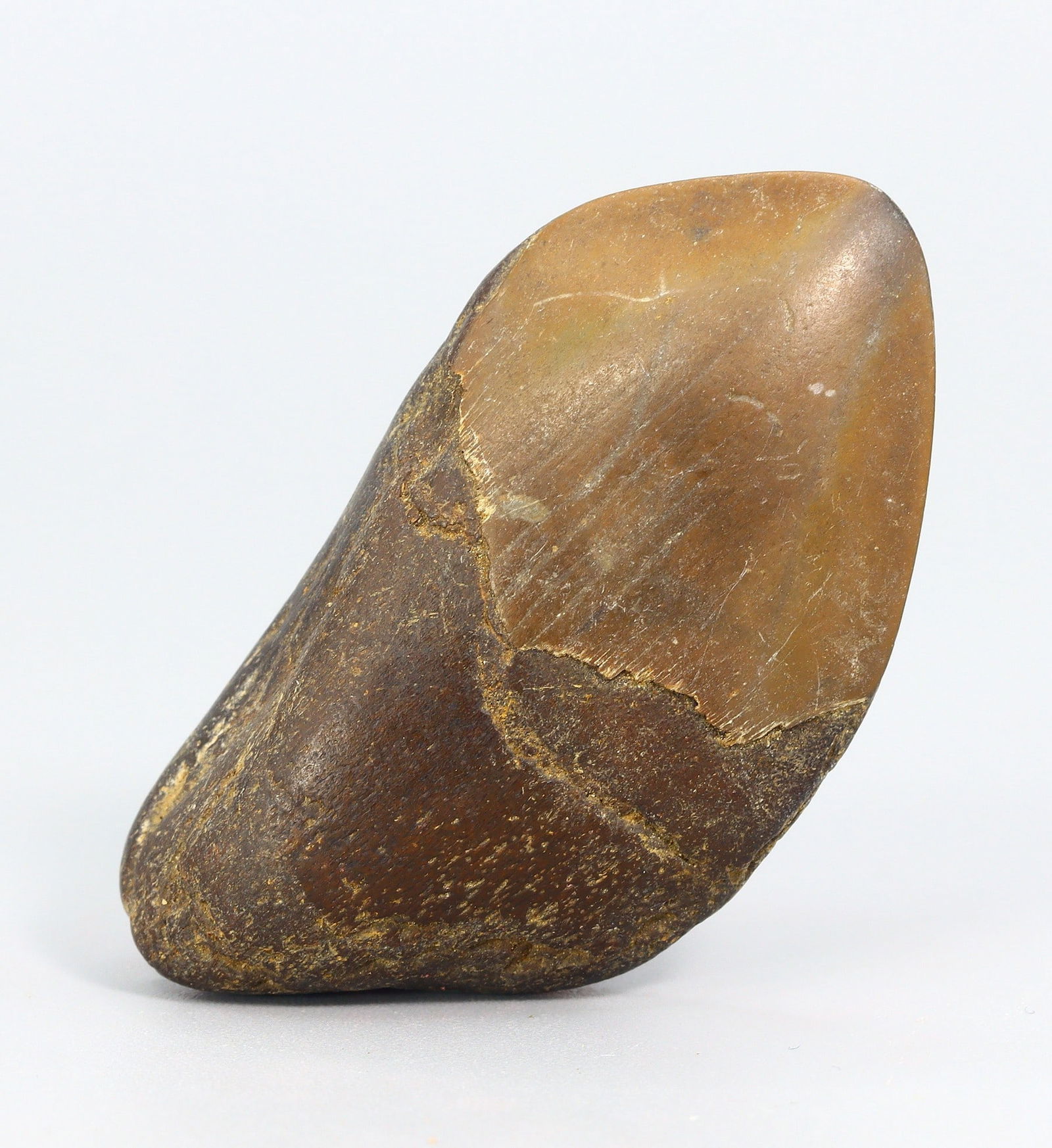 Real Megalodon Dinosaur Shark Tooth Jaw Teeth Bone Fossil: 5.5x2.5x1Cm Weight: 16.6 gaems (Before Packing) Thousand Planet Auction House Season 5: Ten2Go Antique Beads Collection Auction. A bargain hunter's, fixer-upper's, and pack-rat's dream come true! Our