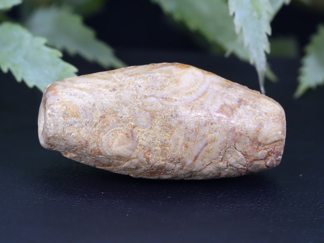 Oid Ancient Afghan Steatite Bead: 26.5x12.7mm Weight: 24 carat (Before Packing) Thousand Planet Auction House Season 5: Ten2Go Antique Beads Collection Auction. A bargain hunter's, fixer-upper's, and pack-rat's dream come true! Our Te