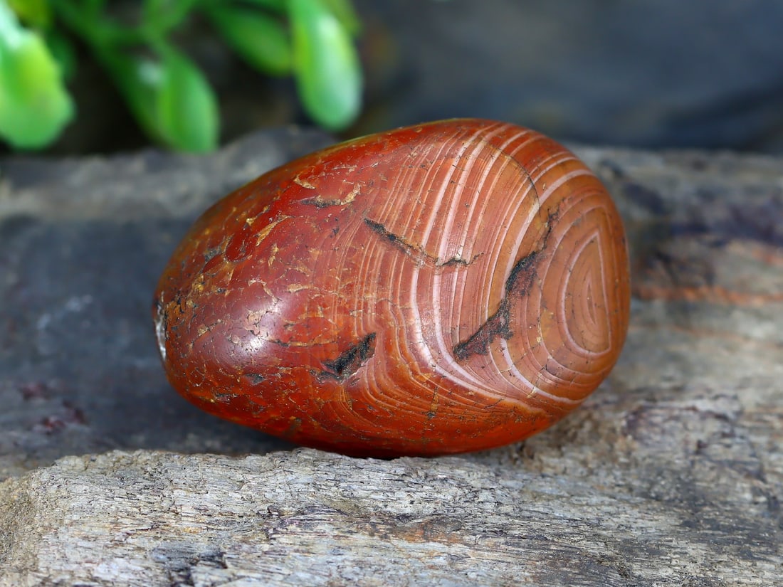 An Antique Vintage Old Tibetan Pyu Carnelian Bead: 38.2x26.7mm Weight: 170 carat (Before Packing) Thousand Planet Auction House Season 5: Ten2Go Antique Beads Collection Auction. A bargain hunter's, fixer-upper's, and pack-rat's dream come true! Our T