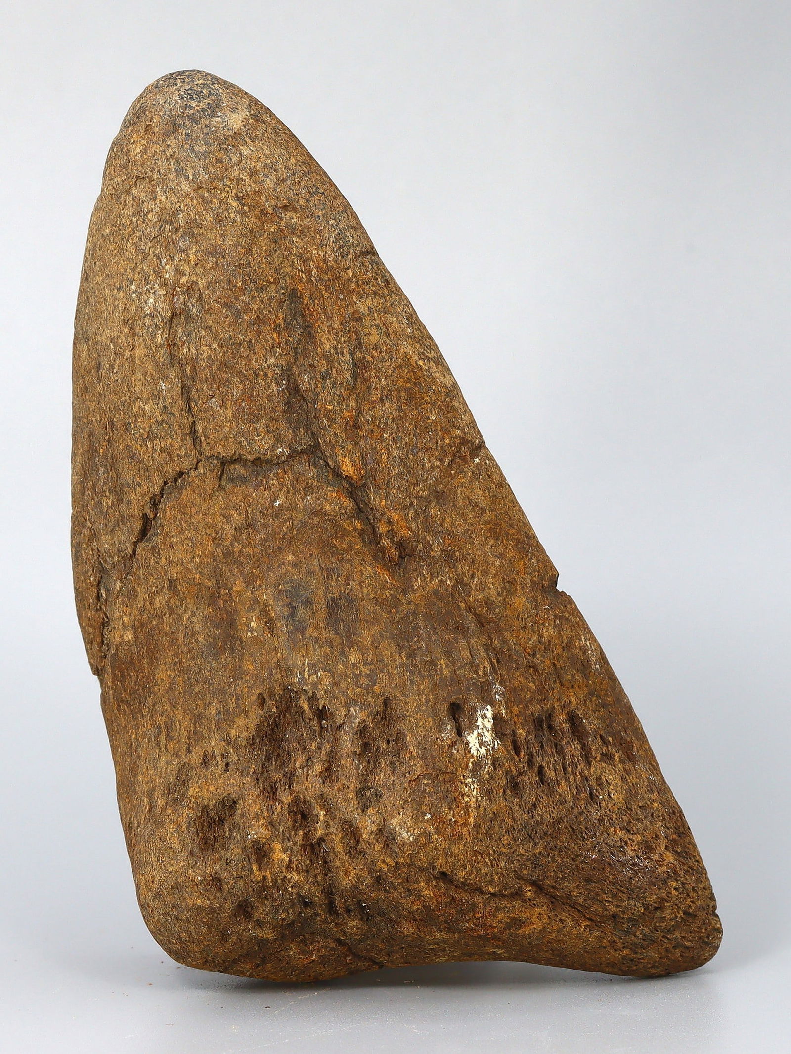 Real Megalodon Dinosaur Shark Tooth Jaw Teeth Bone Fossil: 4.1"x2" inches Weight: 149.9 grams (Before Packing) Featuring property of local collections include Europe & Oriental antiques and decorative arts. A truly bargain hunter's, fixer-upper's, and pack-ra