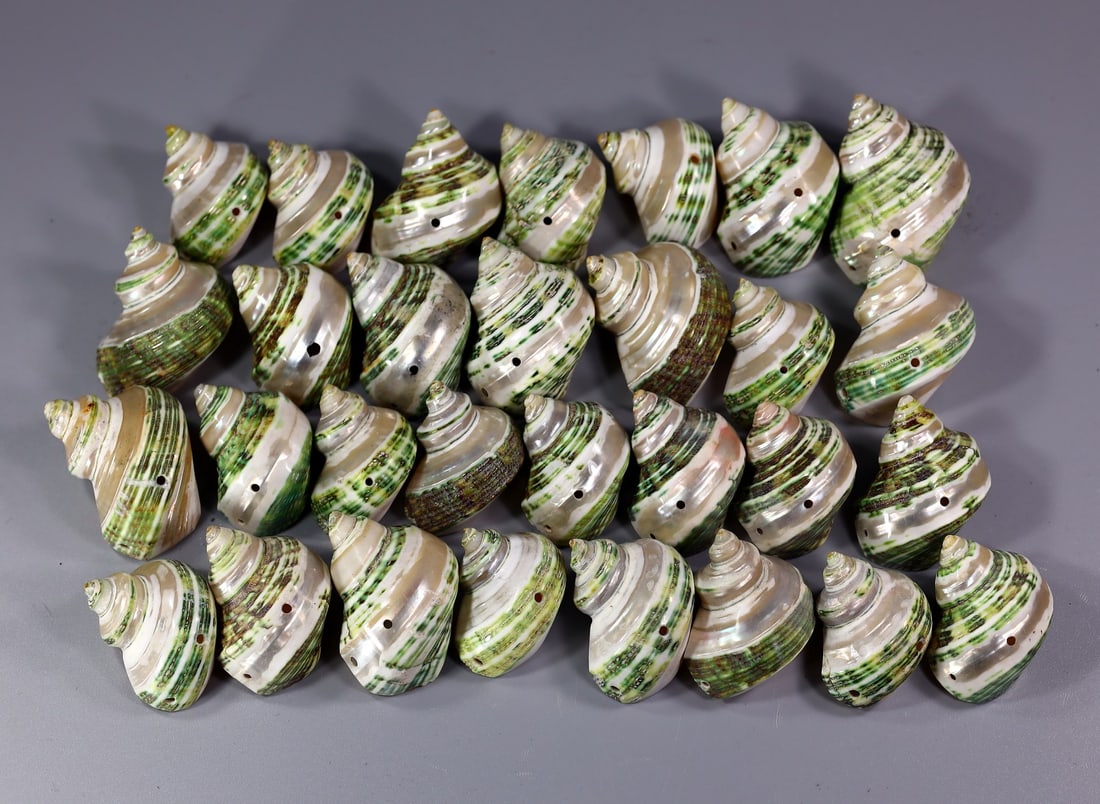 Collection of 30 Pieces Drilled Natural Fluorescent Conch Shell (1 of 2)