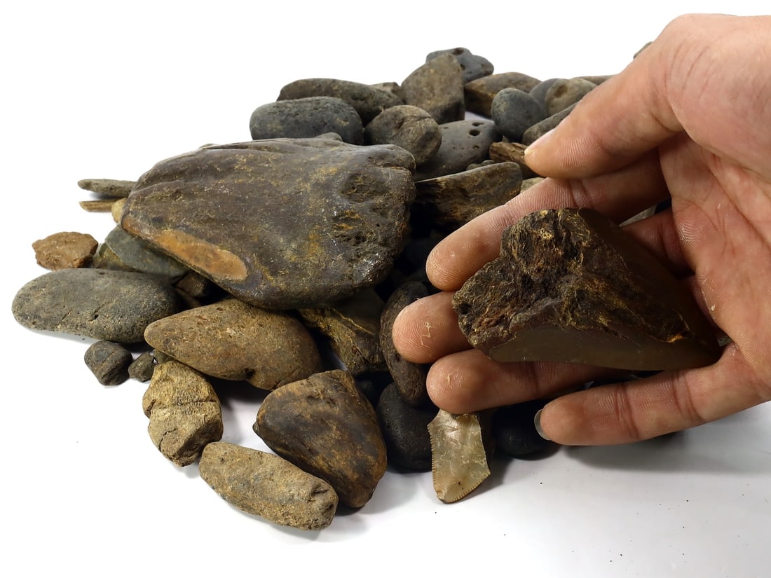 1Kg Parcel of Megalodon Shark Teeth Fossil Parcel Lot (As Pictured): 2-9cm Weight: 1000 grams