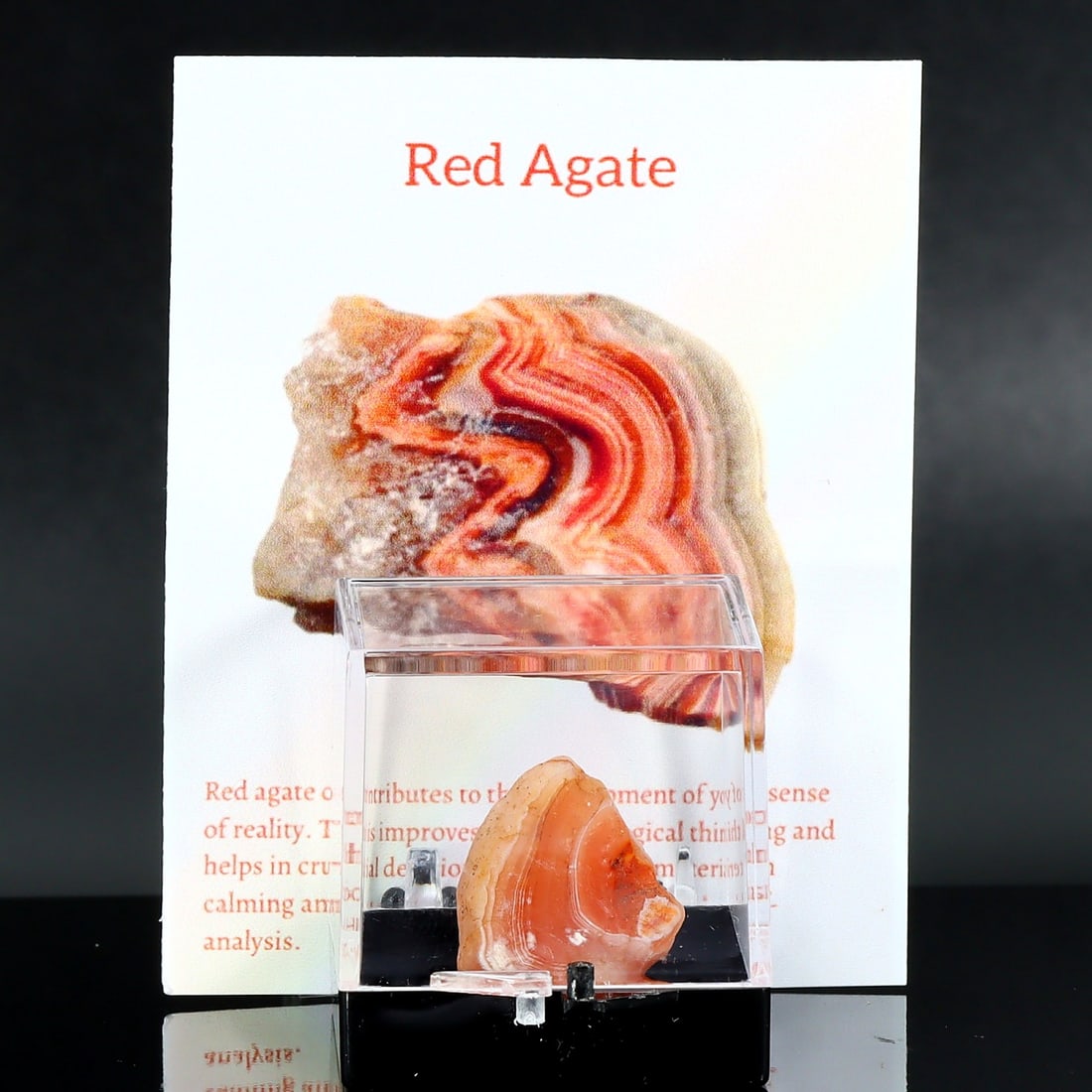 Collector Piece of Natural Red Agate Specimen Rough in Display Box (1 of 3)