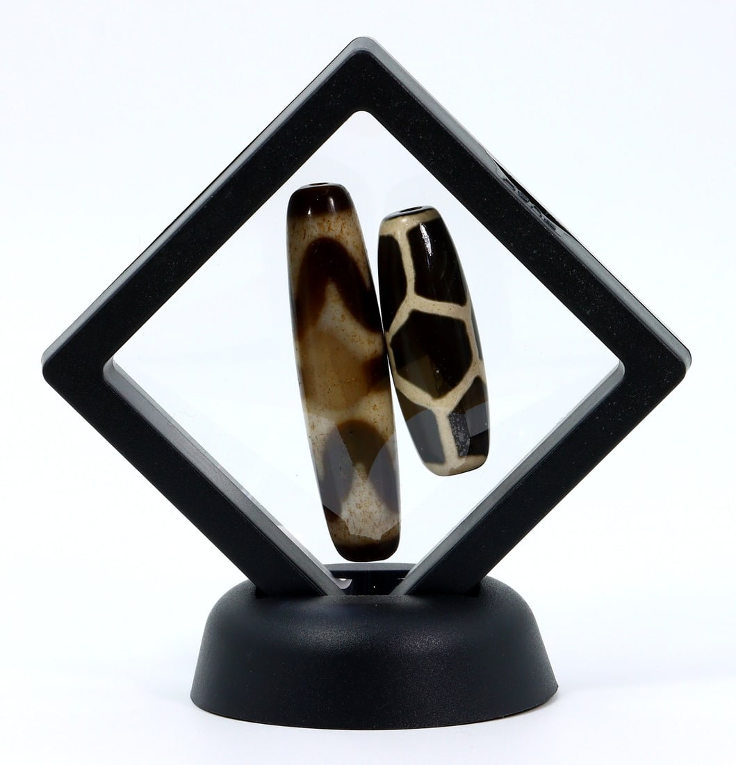 Two Chinese Tibetan Tiger Teeth & Tortoise Back Phumtek Agate dZi Beads: 4-5.5cm Weight: 55 grams