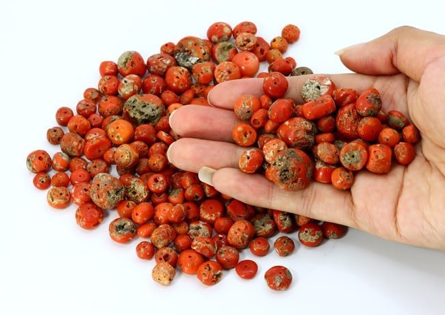 Old Himalayan Tibetan Red Coral Beads Lot Collection: 7-17mm Weight: 170grams