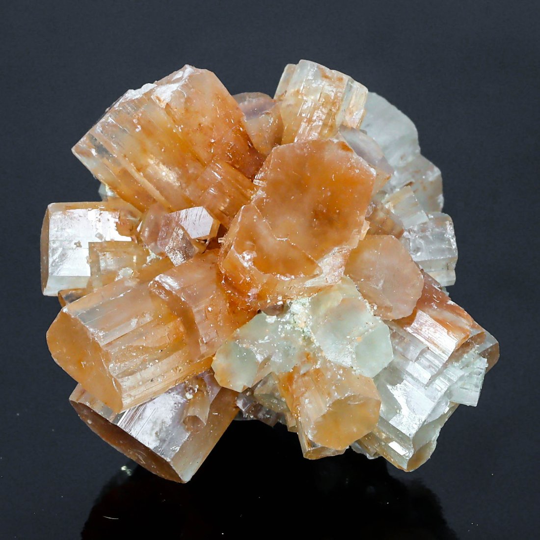 Golden Aragonite Mineral Crystal Clusters from Morocco Specimen Collection (1 of 4)