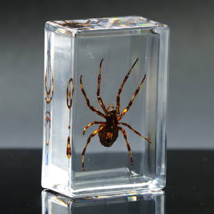 Spider Fossil in Resin Block Art Glass Paperweight Desk Decoration: 4.5x3cm Weight: 27grams