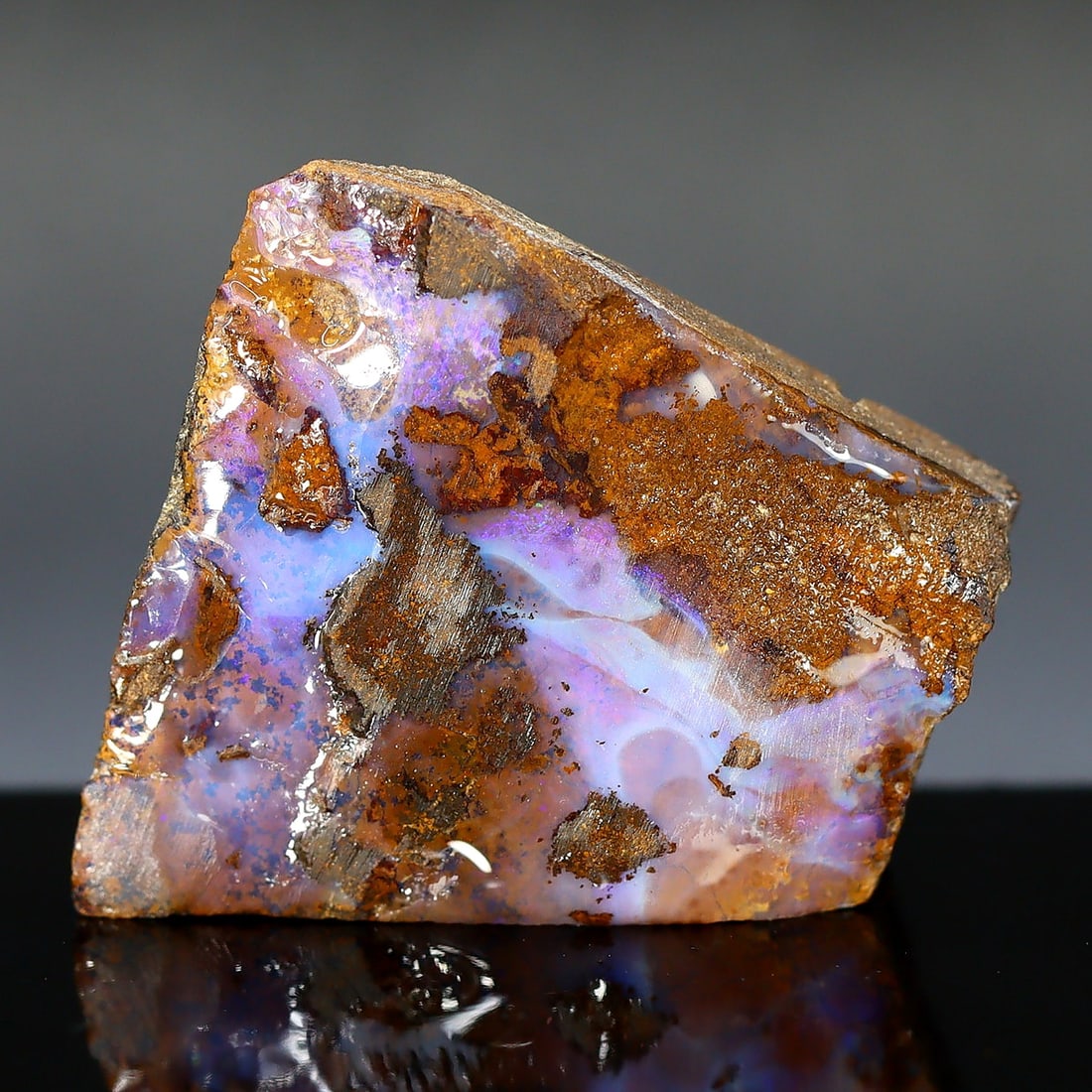 43.3Ct Australian Rare Fossilized Boulder Opal Raw Rough (1 of 3)