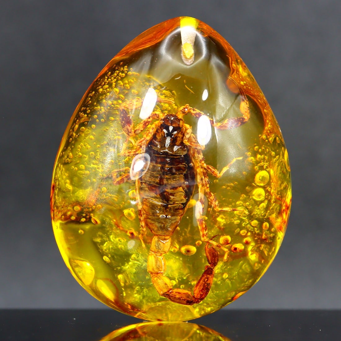 34Grams Pressed Amber with Scorpion Insect Specimen (1 of 2)