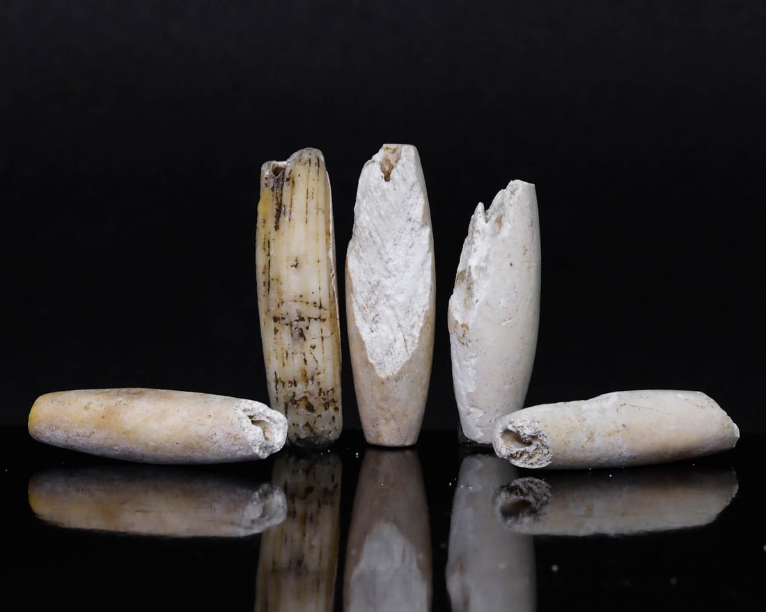 Ancient Neolithic Period Shell Bead, Early Western Asia (4000 BC - 3500 BC) (1 of 3)