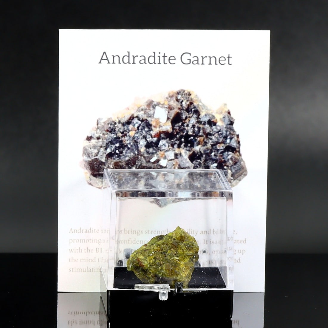 Collector Piece of Natural Andradite Garnet Rough Specimen in Display Box (1 of 3)