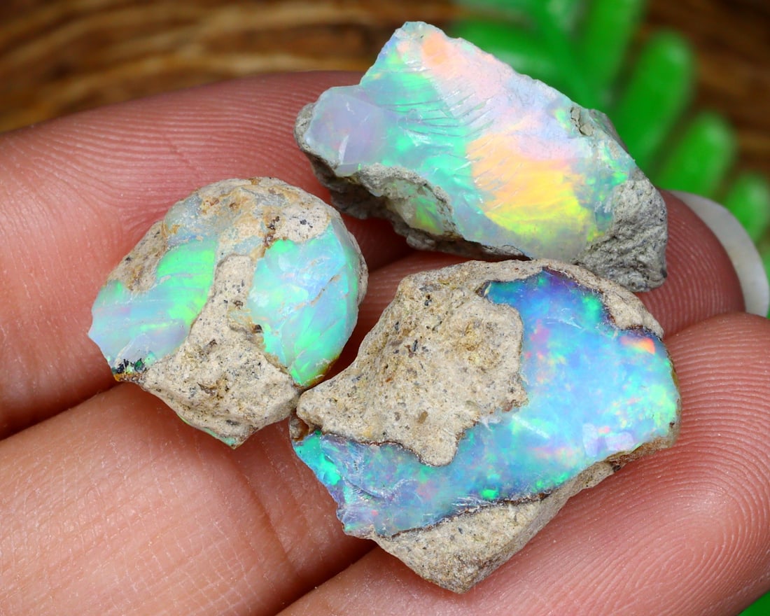 16.5Ct Luminous Spectrum: World's Priciest Ethiopian Welo Opal Rough: Dimension: 12-17mm Raw Gemstone Specimens - Natural Welo Rough Opal This assemblage of Ethiopian Welo opal rough is a breathtaking representation of nature's artistry. Each piece is a canvas of brilli