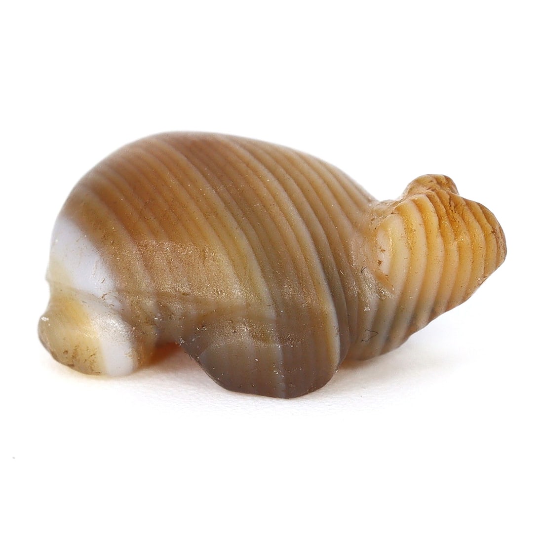 Timeless Southeast Asian Zoomorphic Banded Agate Bead (1st - 9th century CE) (1 of 4)