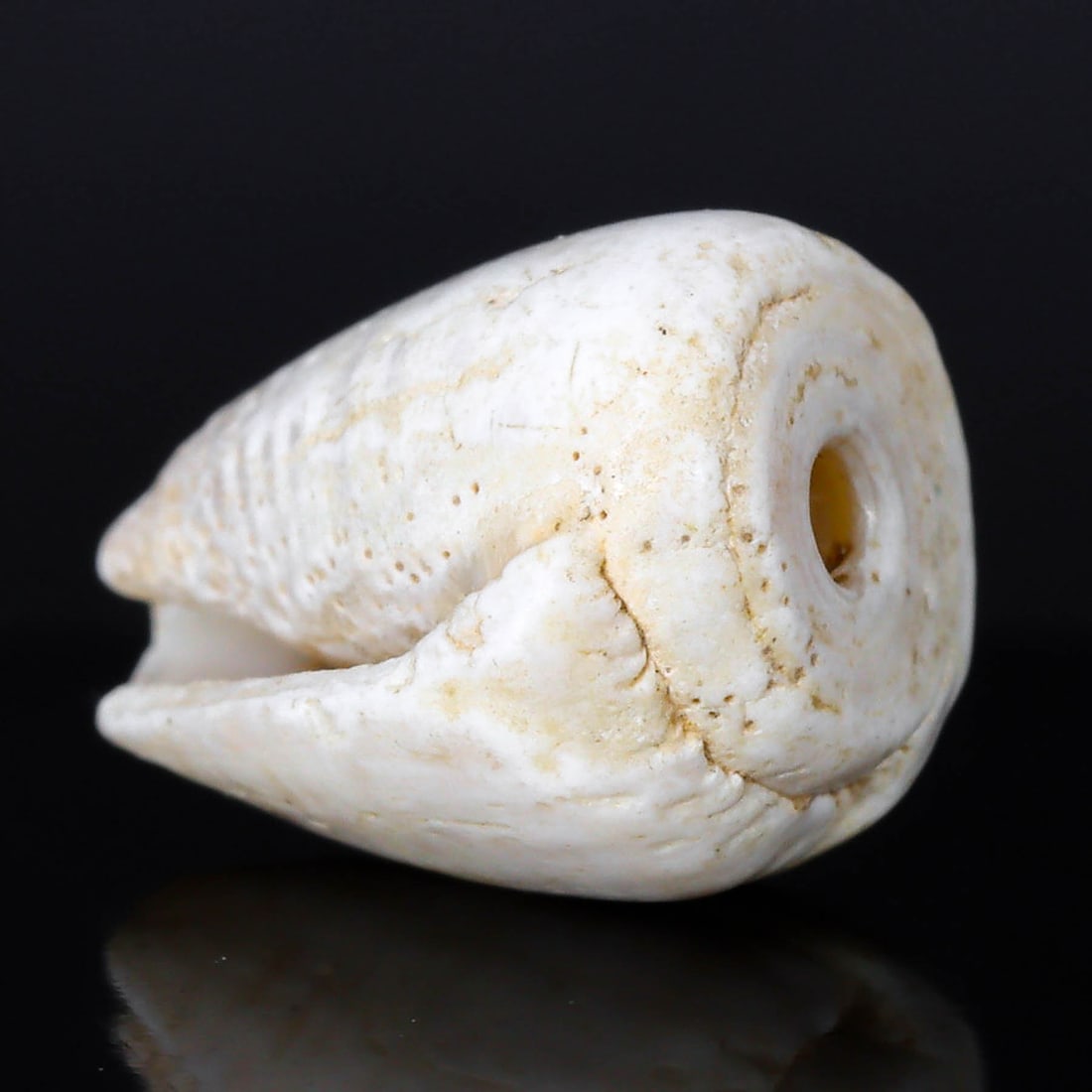 Neolithic Era Shell Bead from Ancient Egypt - Badarian Period (5500-4000 BC): Dimension: 11x7.8mm Introduction: Immerse yourself in the dawn of civilization with this Neolithic Era shell bead from the Badarian Period of Ancient Egypt, dated between 5500 and 4000 BC. This shell 