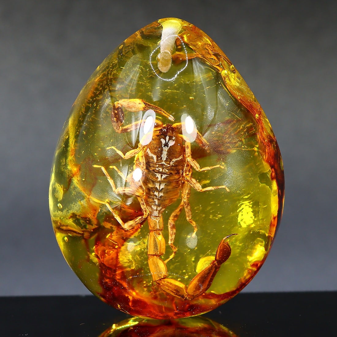 39Grams Enigmatic Nature: Entrapped Ancient Insect in Pressed Amber Gem: Dimension: 5.5x4cm Weight: 39gram Introduction: Witness the remnants of a bygone era with this intriguing piece of pressed amber, preserving an ancient insect in time. Perfect for enthusiasts of natur