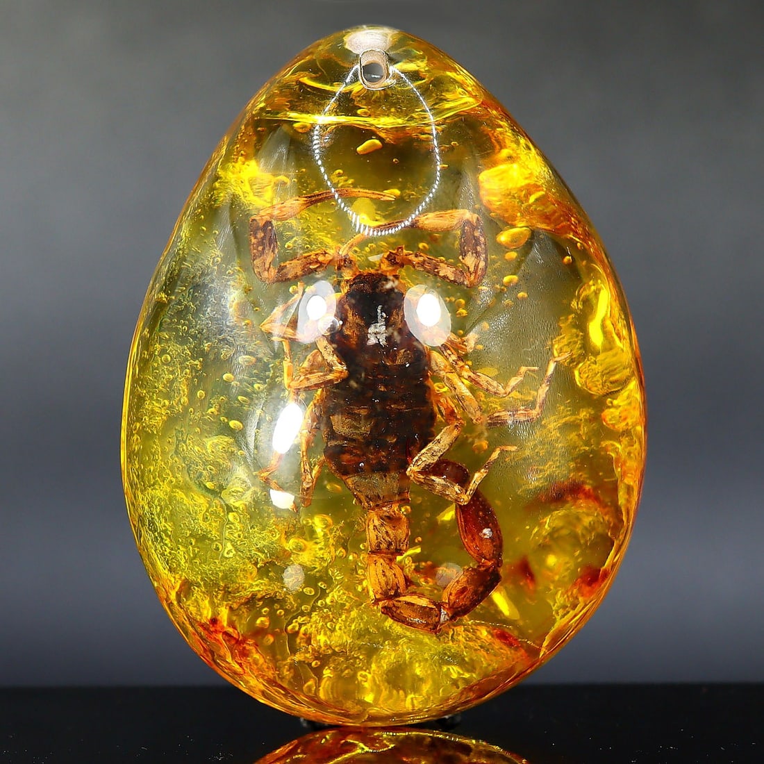 36Grams Enigmatic Nature: Entrapped Ancient Insect in Pressed Amber Gem: Dimension: 5.5x4cm Weight: 36gram Introduction: Witness the remnants of a bygone era with this intriguing piece of pressed amber, preserving an ancient insect in time. Perfect for enthusiasts of natur