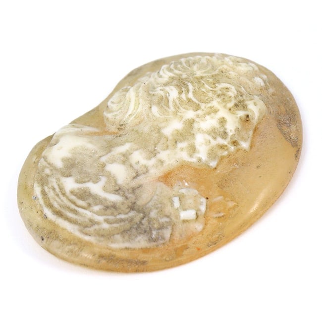 Antique Shell Cameo Carving: A Renaissance Gem (14th-17th Century) (1 of 4)