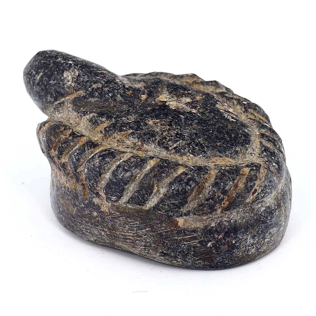 Bactrian Steatite Idol Hat Fragment, 2000-1500 BC (1 of 7)