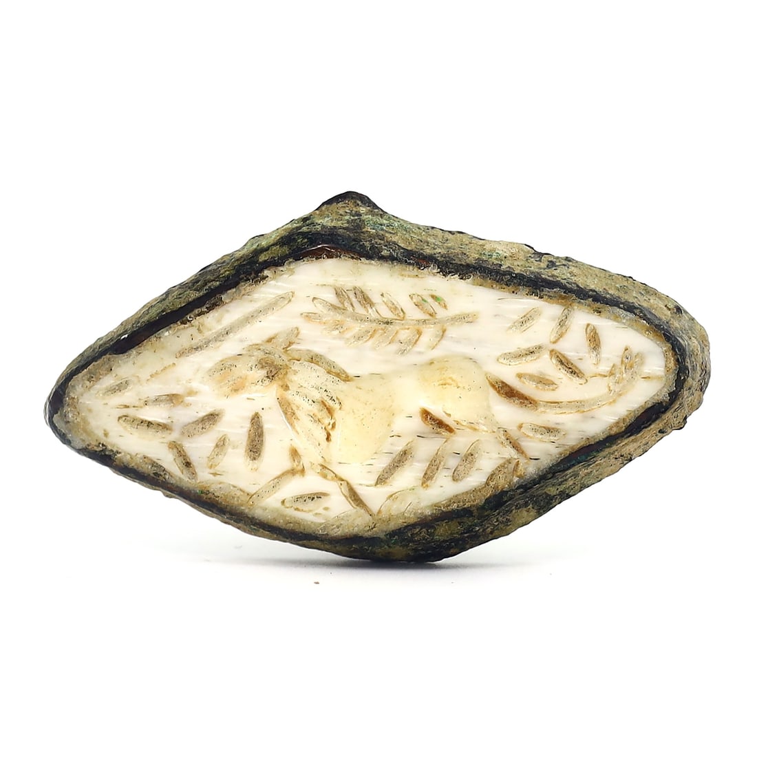 Parthian-Roman Era Ivory Buckle with Ibex Motif (1st century BC - 1st century AD): This exquisite ancient buckle, measuring 5x3 cm (1.97x1.18 inches), is a testament to the Parthian-Roman era's intricate craftsmanship. Carved from ivory, a material prized throughout history for its 