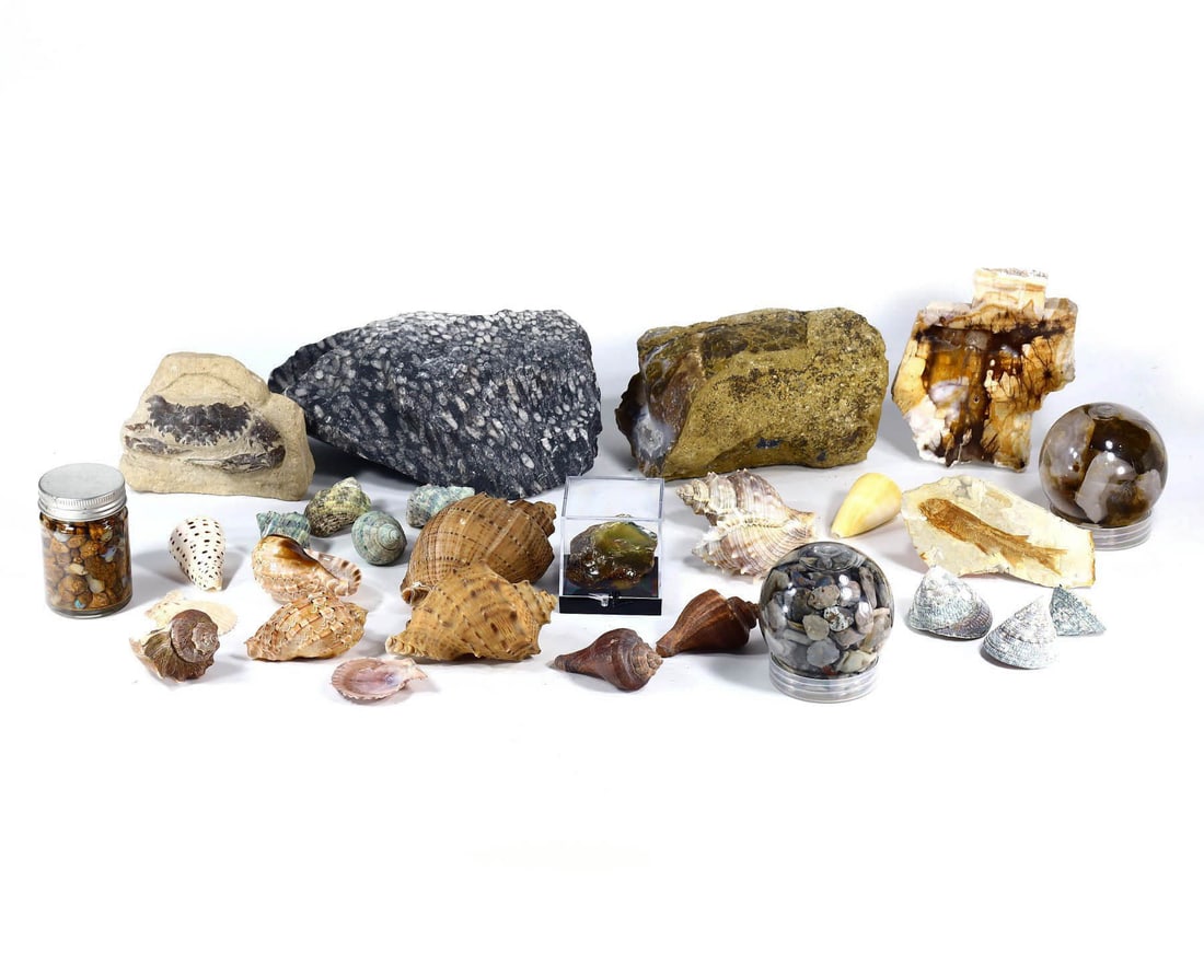 Group of 29 Mixed Fossil and Mineral Specimens,with - Free Shipping (1 of 2)