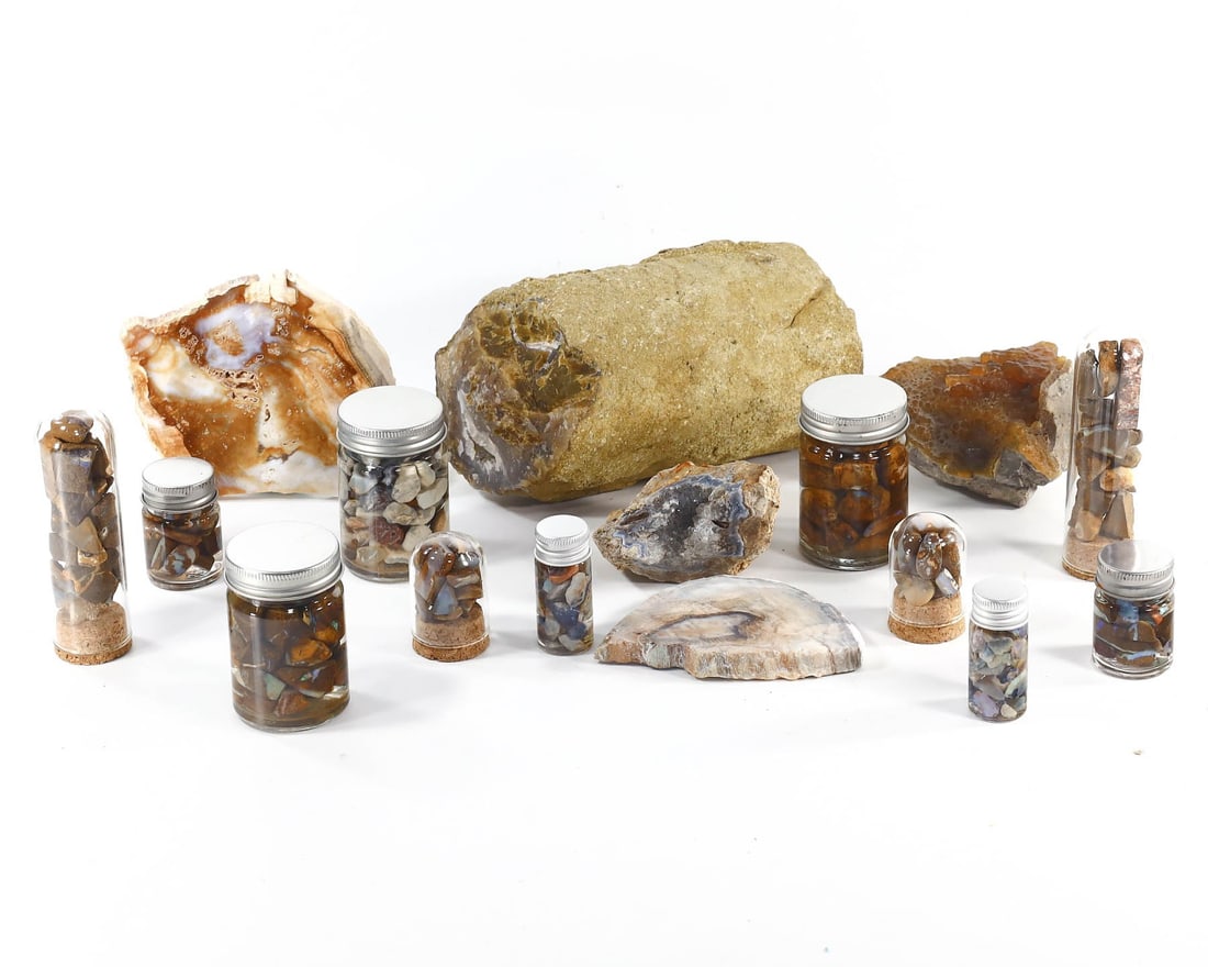 Group of 16 Varied Collectibles Featuring Geodes, Fossils, and Mixed Stones,with - Free Shipping (1 of 2)