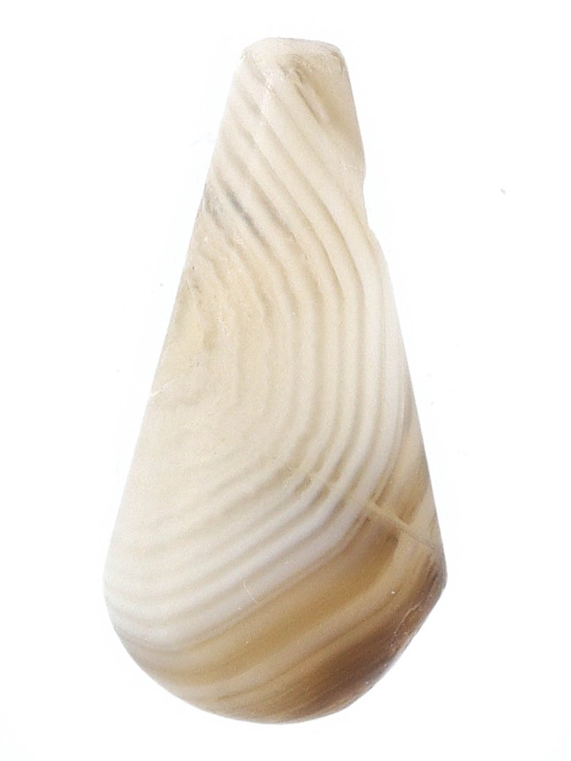 Ancient Roman Era Egyptian Banded Agate Pendant Beads: Roman-era banded agate pendant beads, crafted in Egypt between the 1st and 4th centuries AD. These beads range in size from 18x9 mm and showcase the fine quality of Roman gem-working, which often feat
