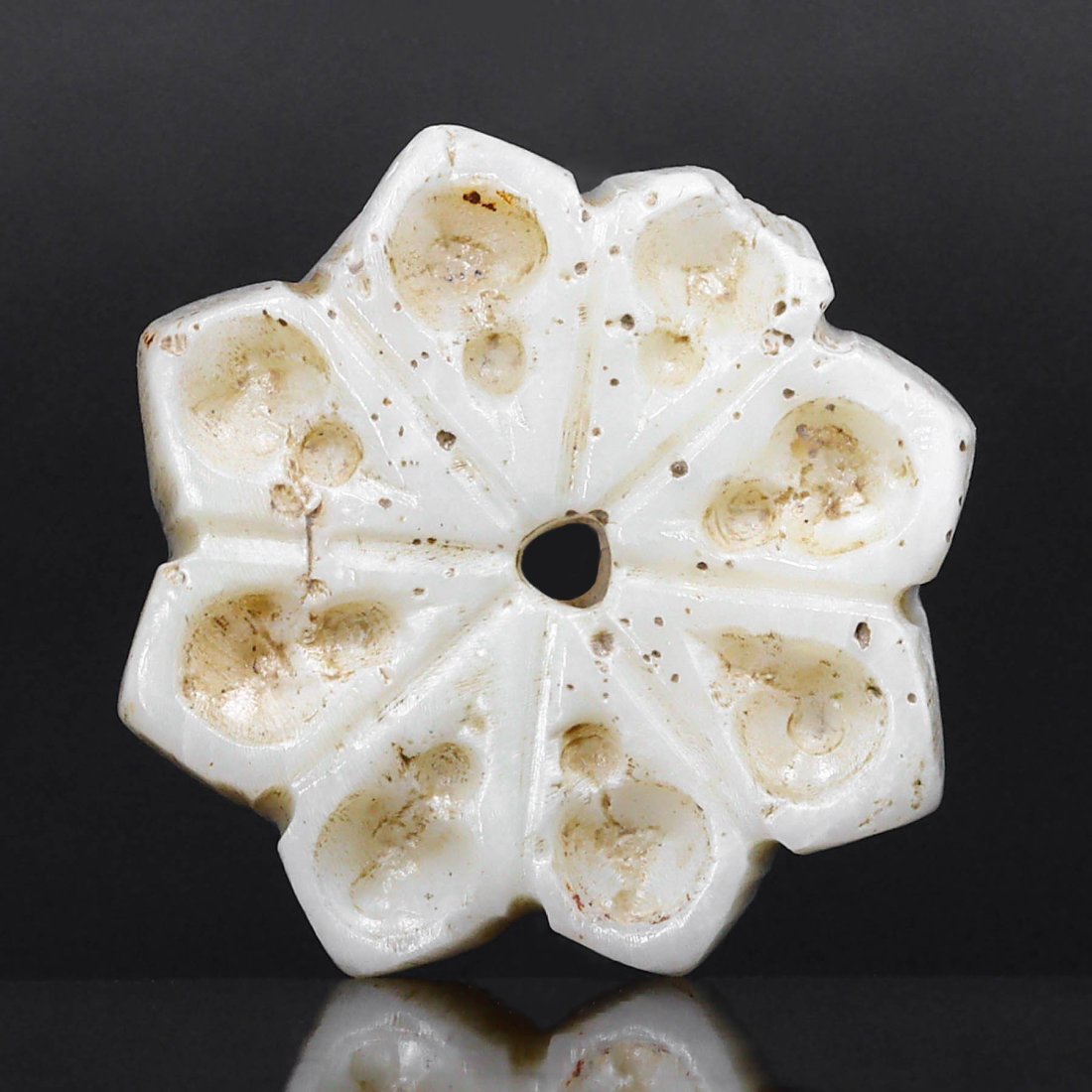 An Ancient Egyptian Shell Conch Rosette, Ptolemaic Period, 305-30 B.C.: This delicate rosette, meticulously crafted from a shell conch during the Ptolemaic period, represents the artistic fusion of natural beauty with skilled craftsmanship prevalent in ancient Egypt. Meas
