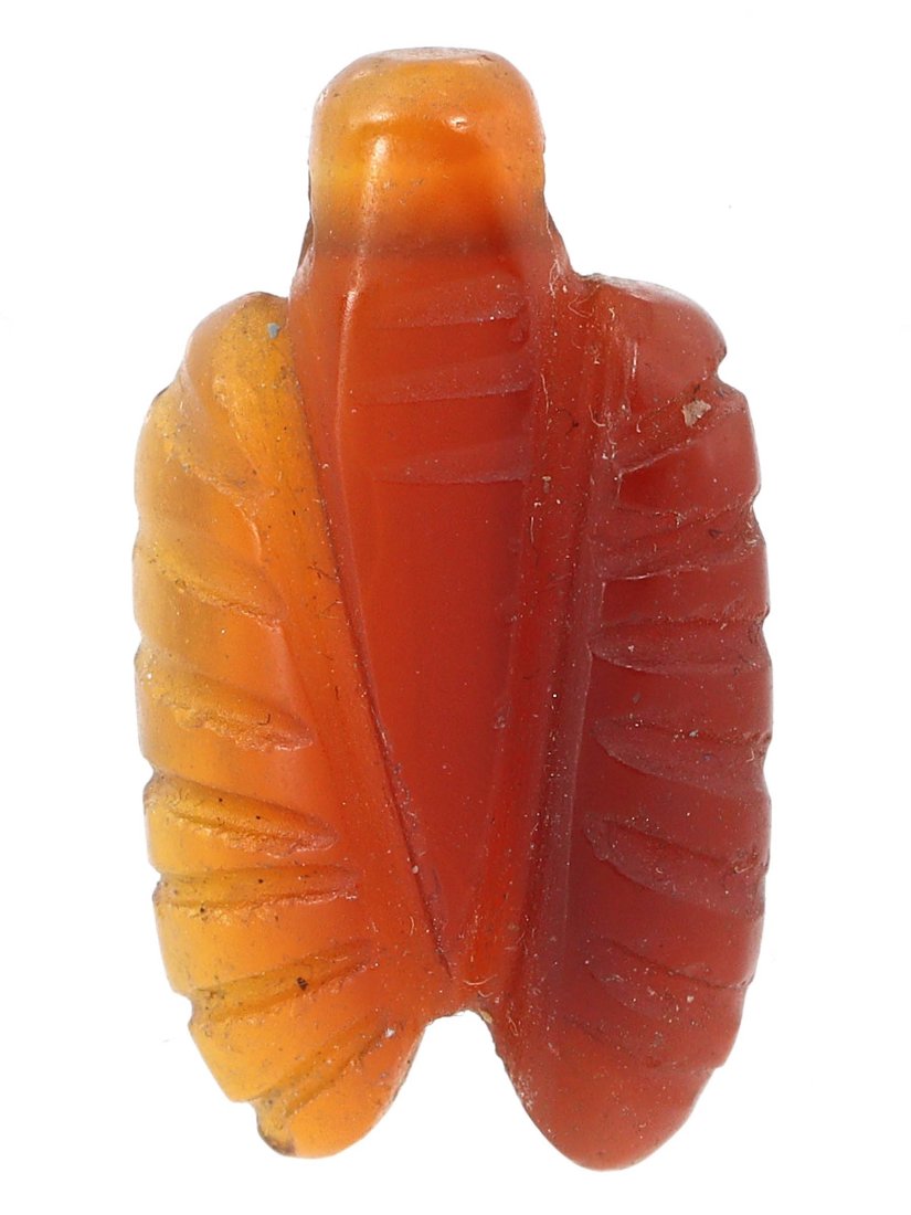 An Egyptian Coptic Carnelian Agate Amulet: Coptic Carnelian Agate fly amulets from Egypt, crafted with incredible sophistication, are powerful symbols in Egyptian symbolism. It is believed to ward off disease and evil due to its permanent natu