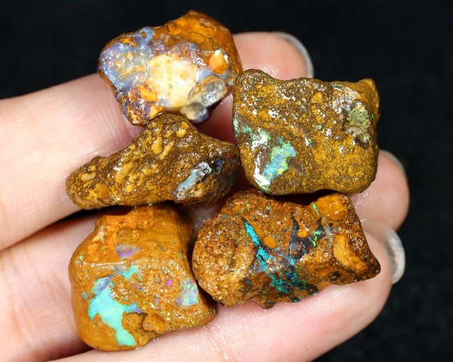 74Ct Wood Replacement Fossil Australian Polished Boulder Opal Rough Specimens (1 of 2)