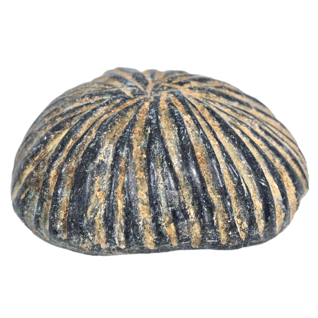 An Ancient Bactria Margiana Steatite Idol Hat Carving, c. 2300-1700 BCE: This artifact from the Bactria Margiana Archaeological Complex features intricate steatite carving shaped like a hat, typical of the ceremonial or ritualistic objects used in ancient Central Asian cul