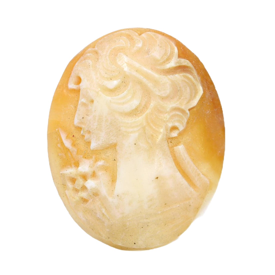 An Antique Shell Cameo, ca. 19th Century CE (1 of 1)