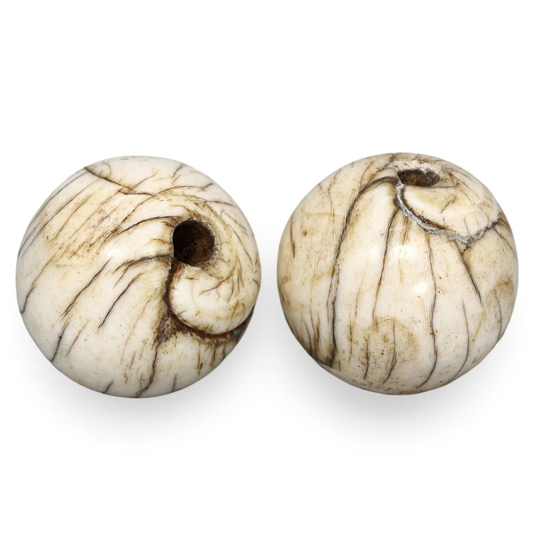 Post Medieval Period Sino Tibetan Tribal Inlaid Conch Shell Beads, 17th-19th Century (1 of 1)