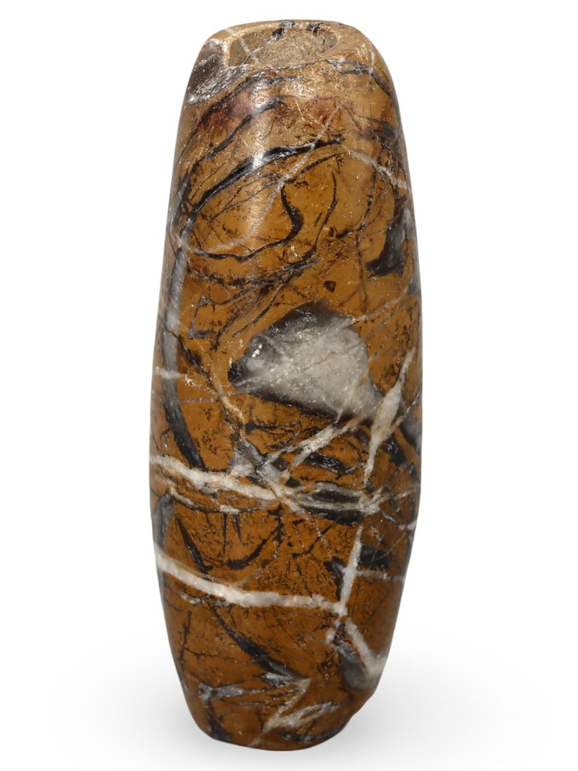 Ancient Afghan Fossilized Jasper Bead Artifact (1 of 2)