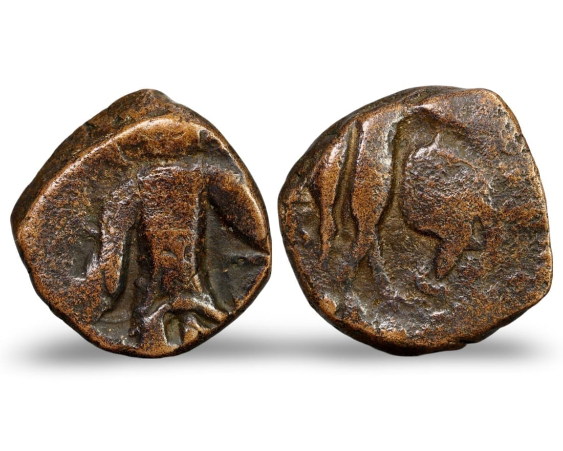 Premium Ancient Classical Indo Greek Bronze Coin, (17mm, 5.43g) (1 of 3)