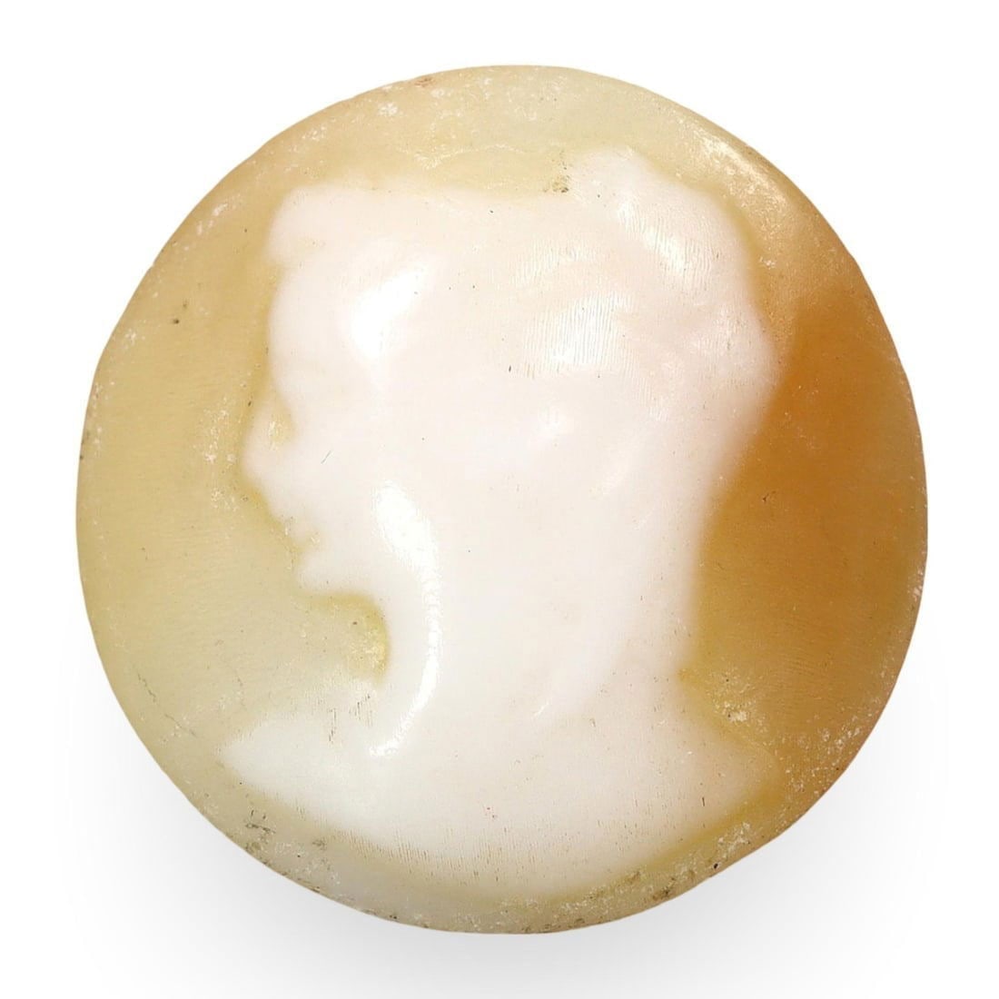 Post Medieval Conch Shell Cameo Intaglio Portrait, Victorian Era, 18th-19th Century (1 of 2)