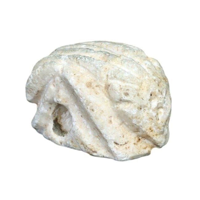 Medieval Sino-Siberian Nomadic Anthropomorphic Fly Amulet, 6th-9th Century AD: **Dimension information at the bottom section after Condition** Welcome to the No Reserve Ancient Relics & Rare Artifacts auction, where history comes alive through an extraordinary collection of trea
