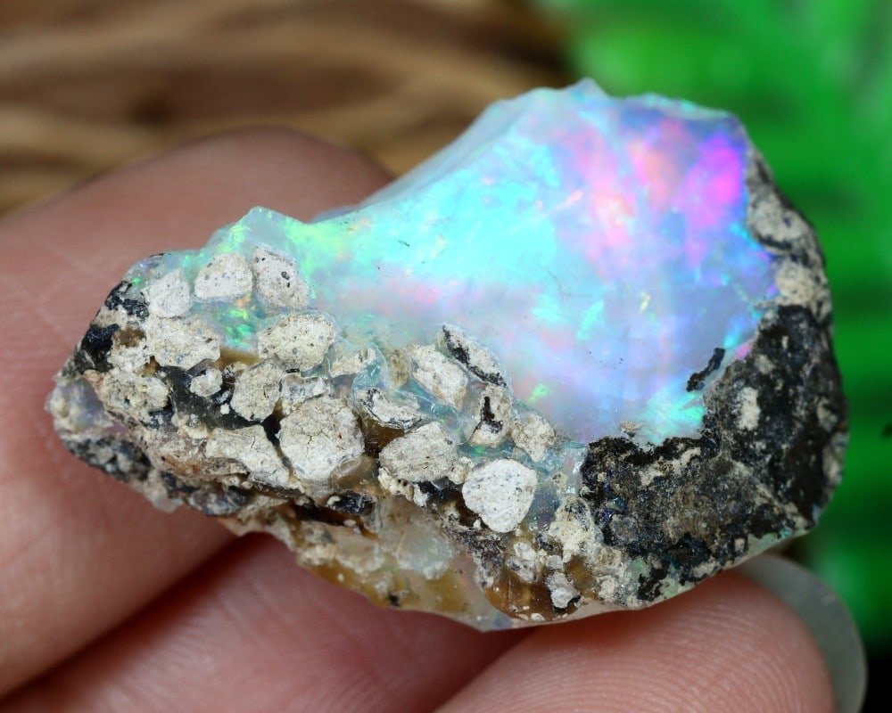 21.1Ct Rare Ethiopian Welo Opal Rough with Striking Play of Color Natural Gemstone (1 of 5)