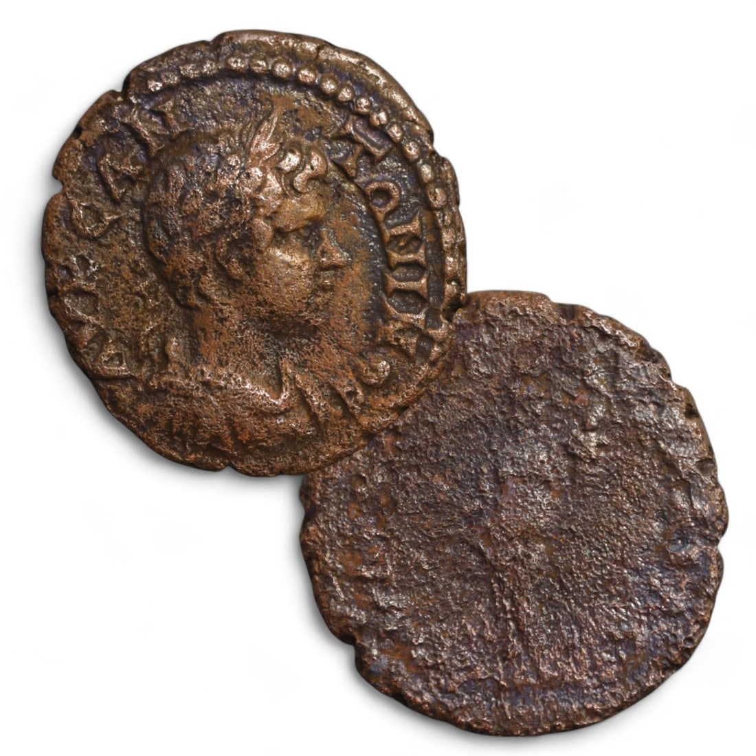 ROMAN PROVINCIAL: AE18 Bronze Coin of Emperor (4g, 18mm): This Roman Provincial coin features a well-preserved bust of an emperor on the obverse, characterized by detailed hair curls and a laurel wreath, symbolizing victory and authority. The surrounding ins