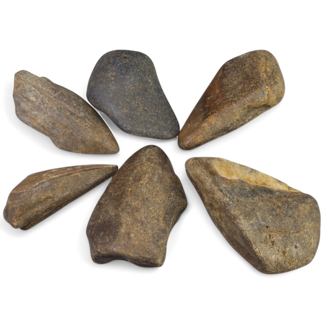 PRE-HISTORIC TOOLS: Lot of Megalodon Shark Fossil Teeth (290g, 6-8cm): This extraordinary lot of Megalodon shark fossil teeth offers a fascinating glimpse into the prehistoric oceans that once dominated our planet. These massive teeth showcase the sheer size and power of