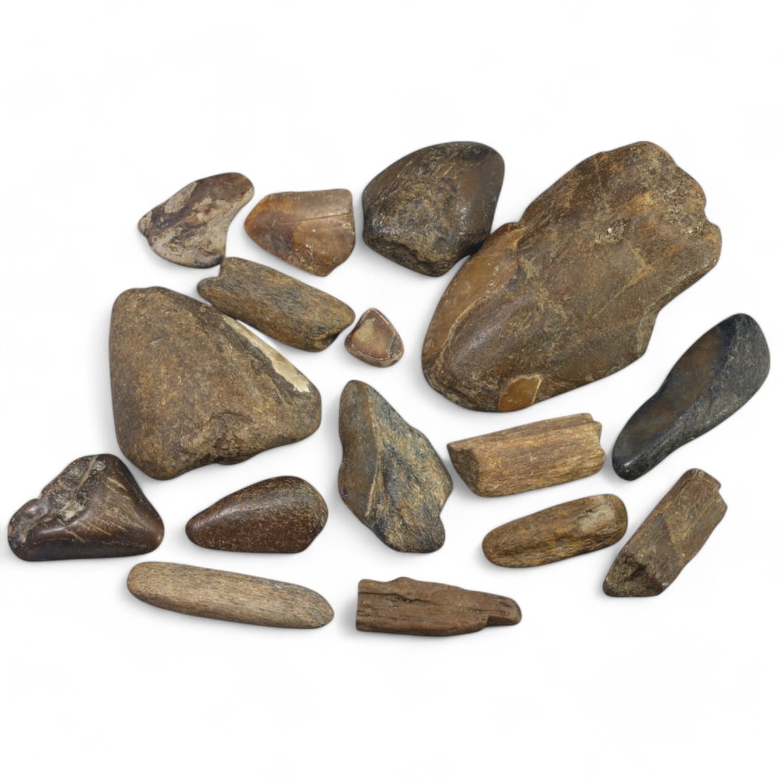 PRE-HISTORIC TOOLS: Lot of Megalodon Shark Fossil Teeth (244g, 2-8cm): This extraordinary lot of Megalodon shark fossil teeth offers a fascinating glimpse into the prehistoric oceans that once dominated our planet. These massive teeth showcase the sheer size and power of