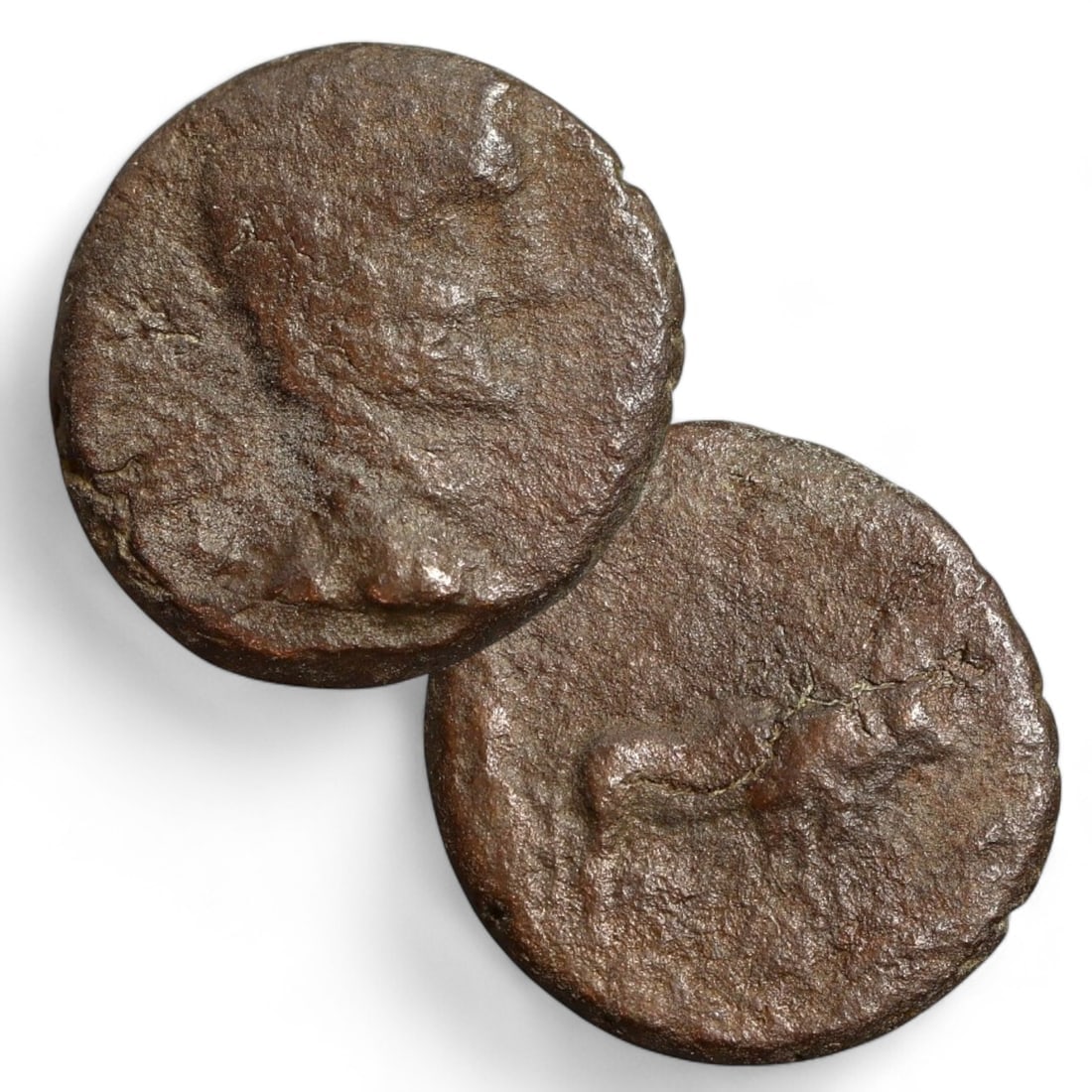 GREEK PROVINCIAL: AE17 Bronze Coin with Horse Reverse (3g, 17mm): This small bronze coin likely originates from a Greek provincial mint, featuring a worn obverse that probably displays the profile of a ruler, deity, or civic emblem. The reverse depicts a horse in mo