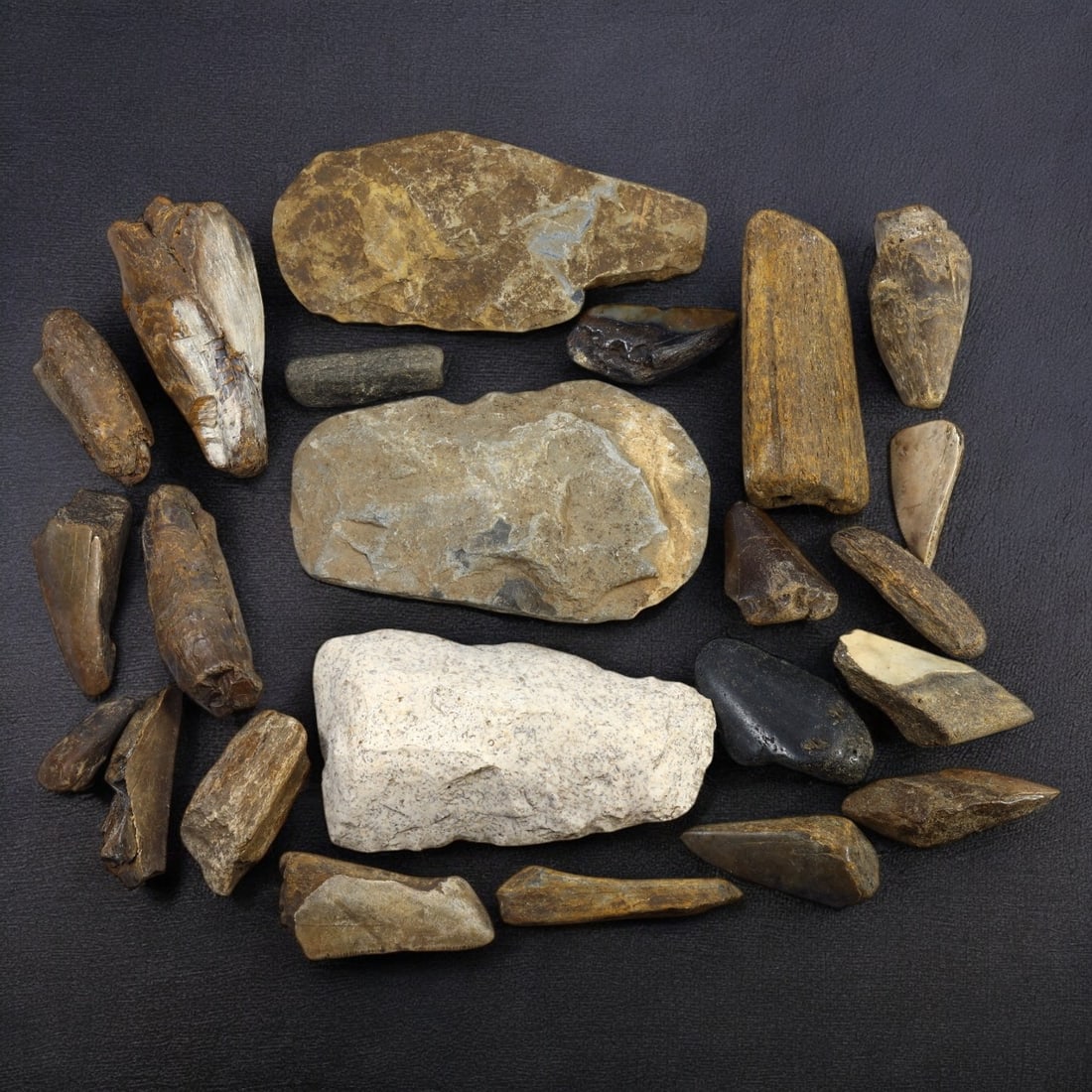 MEGALODON TEETH AND STONE AXES: Lot of 20 Fossil Teeth and 3 Stone Tools (8.5g, 2-11 cm): This intriguing lot includes 20 fossilized Megalodon teeth alongside 3 stone axe heads, each reflecting a different facet of prehistoric history. The Megalodon teeth, varying in size and color due to