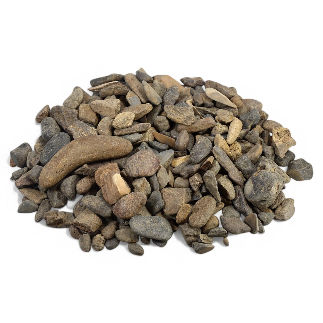 SHARK & MEGALODON TEETH: Lot of Fossilized Teeth, Various Sizes (1.3kg, 2-8cm): This impressive lot features a collection of fossilized shark and megalodon teeth, varying in size, shape, and coloration. The teeth exhibit a range of natural hues from deep gray to earthy brown, wit