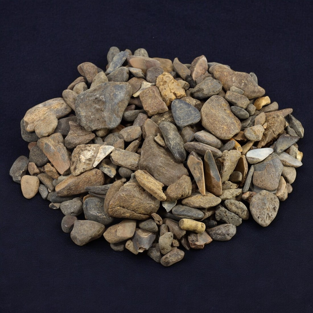 SHARK & MEGALODON TEETH: Lot of Fossilized Teeth, Various Sizes (1.3kg, 2-6cm): This impressive lot features a collection of fossilized shark and megalodon teeth, varying in size, shape, and coloration. The teeth exhibit a range of natural hues from deep gray to earthy brown, wit